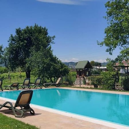 Agriturismo L'Albara - Wines, Pool & Spa Villaganzerla 外观 照片