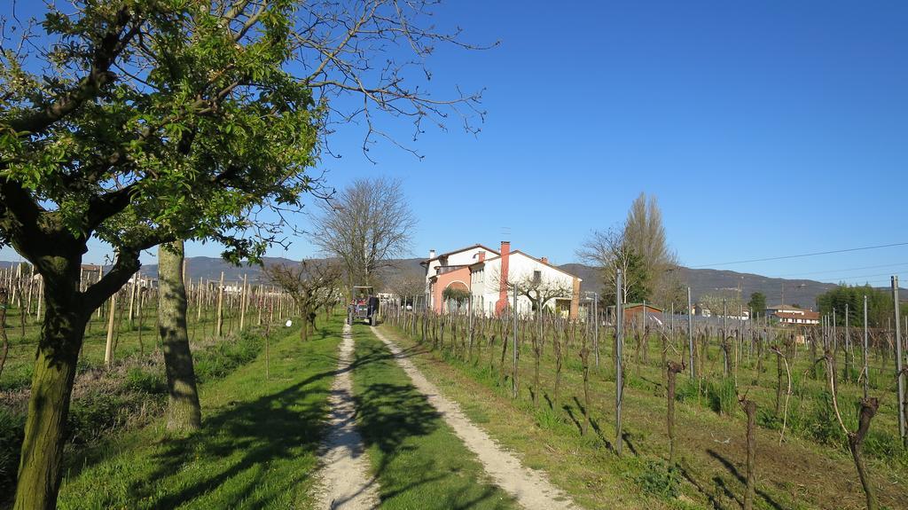 Agriturismo L'Albara - Wines, Pool & Spa Villaganzerla 外观 照片
