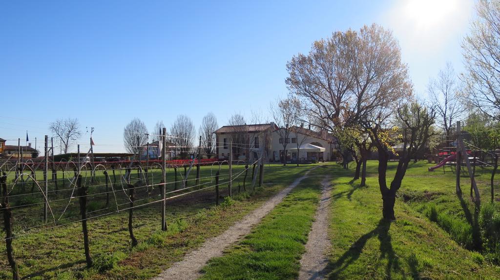 Agriturismo L'Albara - Wines, Pool & Spa Villaganzerla 外观 照片