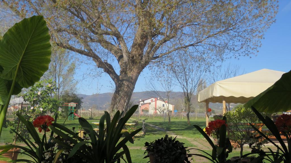 Agriturismo L'Albara - Wines, Pool & Spa Villaganzerla 外观 照片
