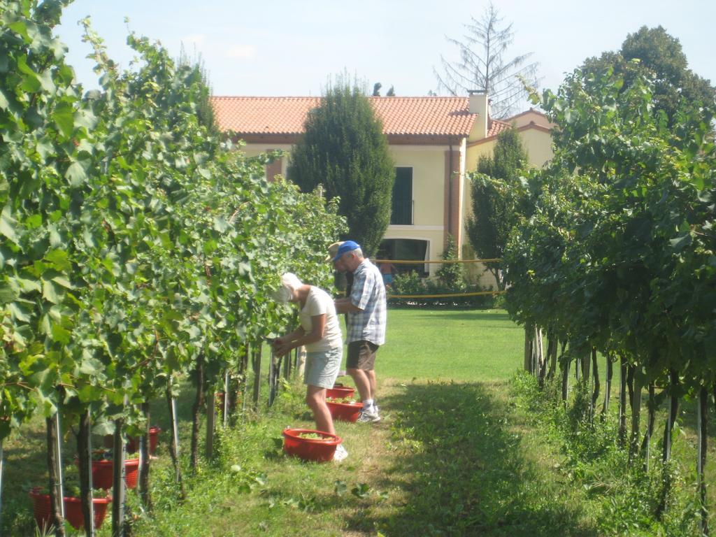 Agriturismo L'Albara - Wines, Pool & Spa Villaganzerla 外观 照片