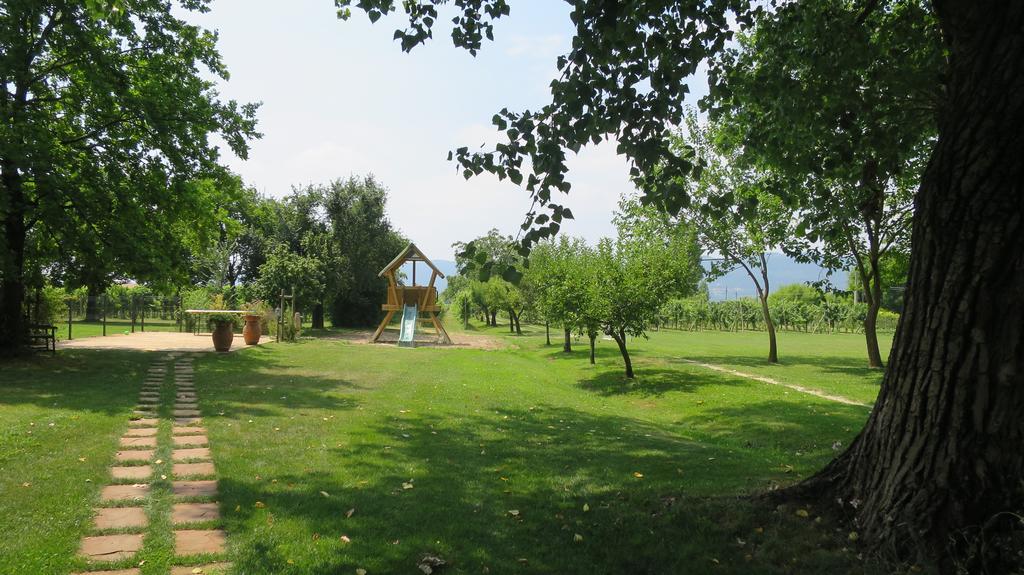 Agriturismo L'Albara - Wines, Pool & Spa Villaganzerla 外观 照片